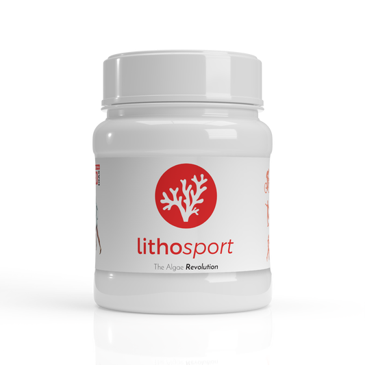 LITHOSPORT